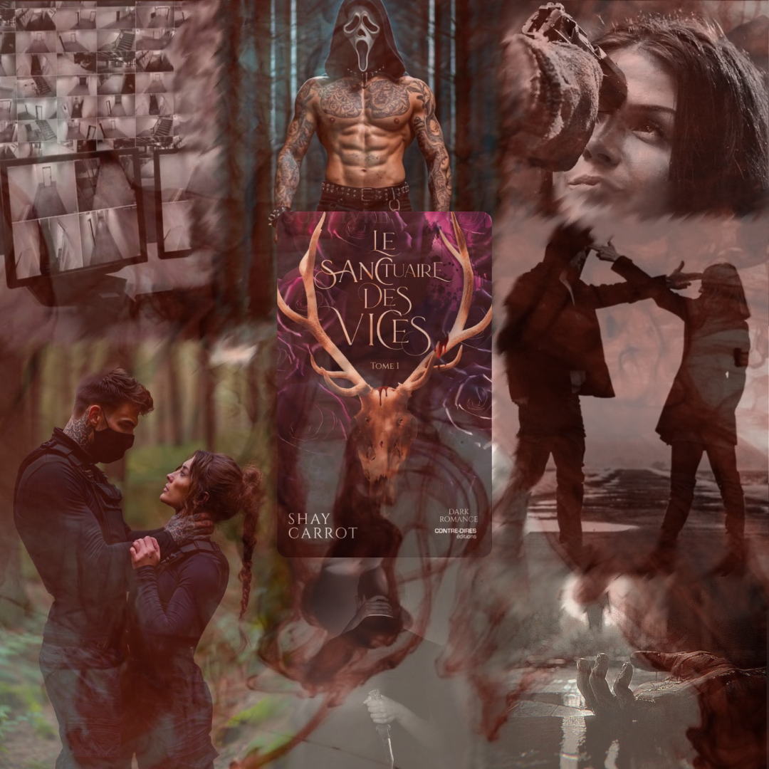 montage livre