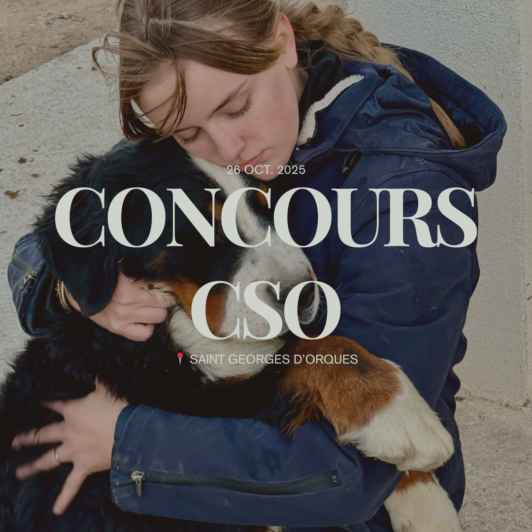 concours